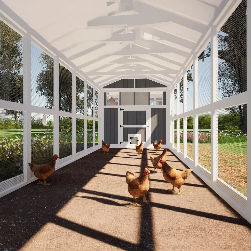 8x32 Chicken Coop Plans 24ft Run DIY