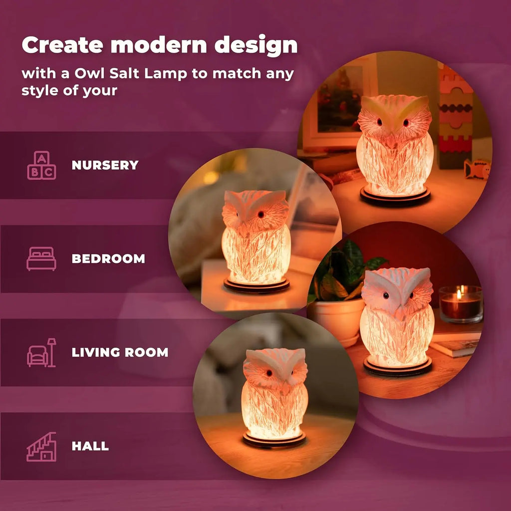 Owl Pure Natural Rock Salt Lamp