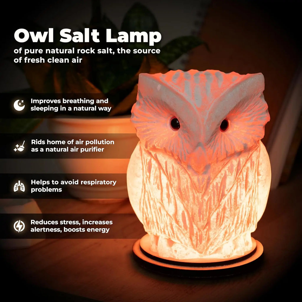 Owl Pure Natural Rock Salt Lamp