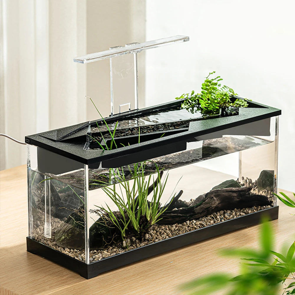 Desktop Fish Tanks