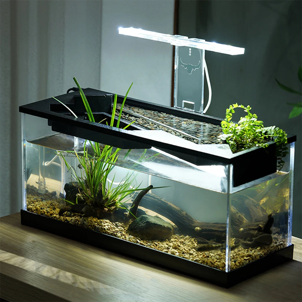 Desktop Fish Tanks
