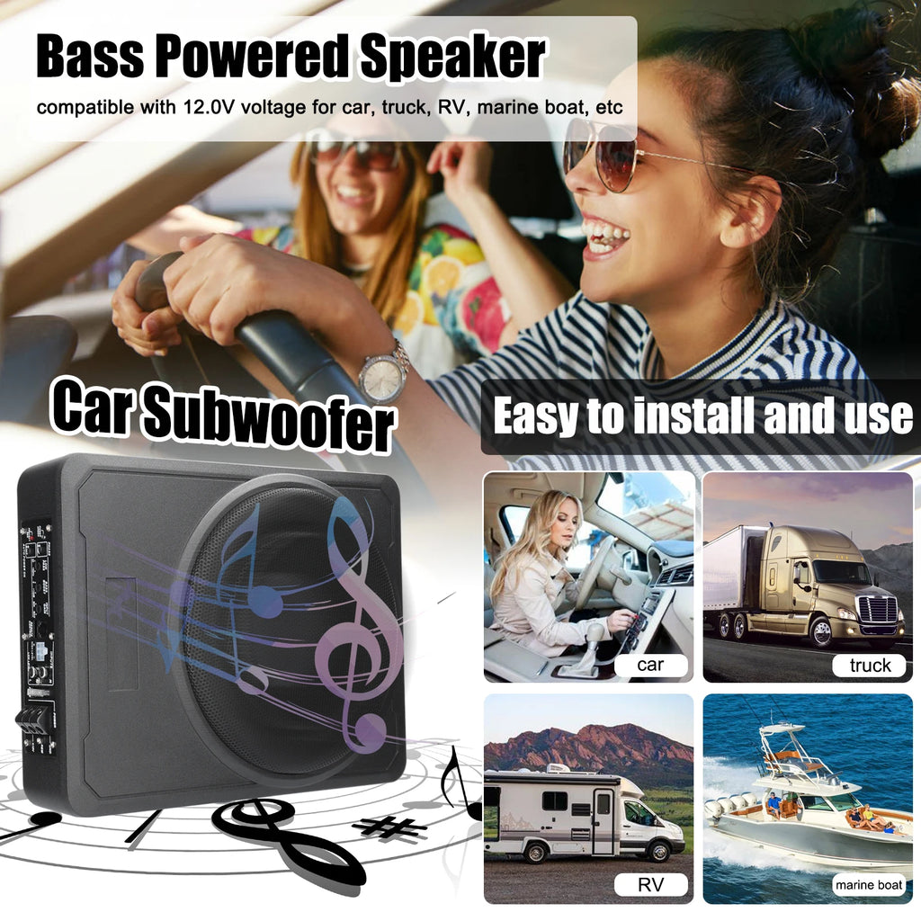 Subwoofer 10in 800W Stable Performance